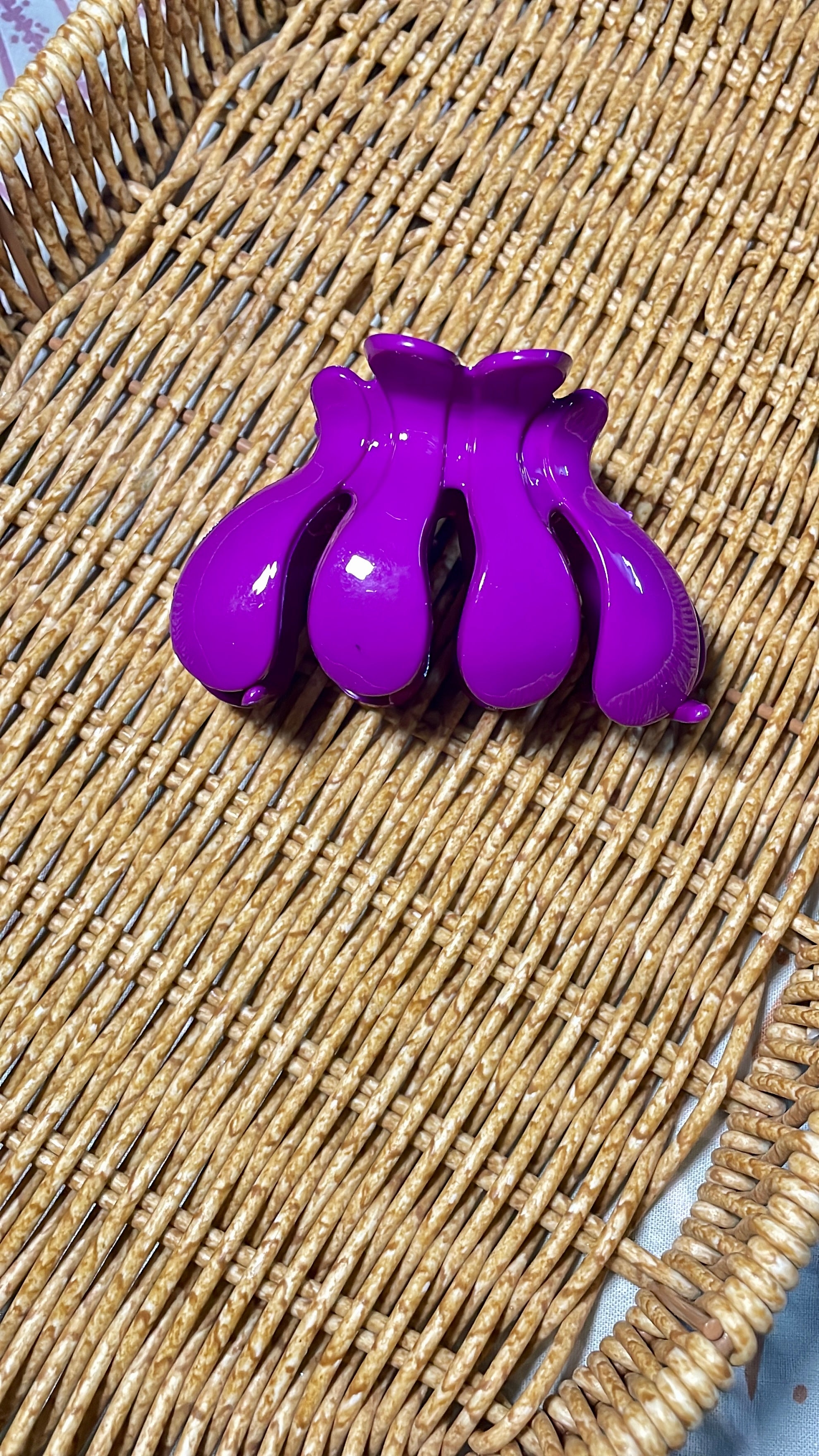 Hair Clip